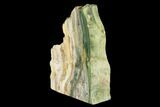 Polished, Gary Green (Larsonite) Petrified Wood - Oregon #180204-2
